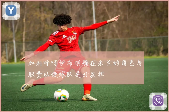 加利呼吁伊布明确在米兰的角色与职责以便球队更好发挥