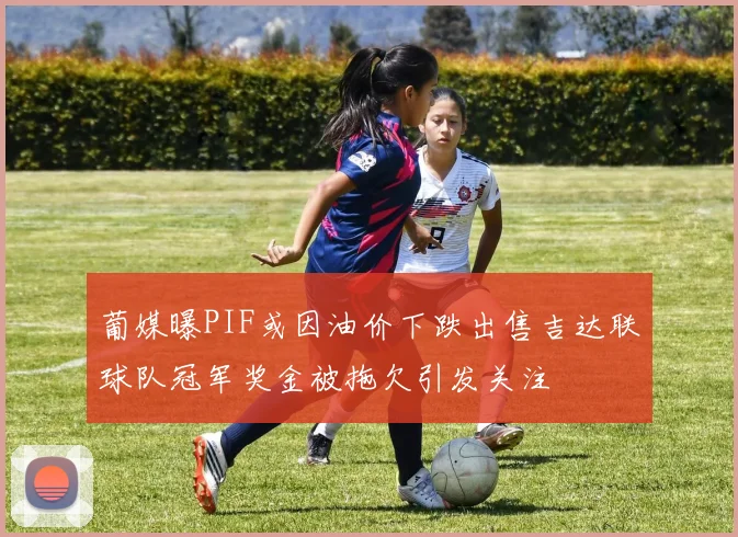 葡媒曝PIF或因油价下跌出售吉达联球队冠军奖金被拖欠引发关注