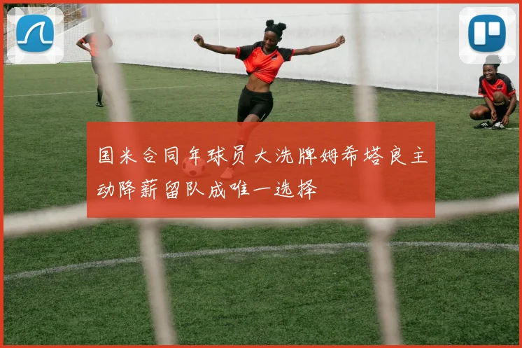 国米合同年球员大洗牌姆希塔良主动降薪留队成唯一选择