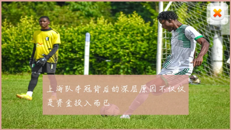 上海队夺冠背后的深层原因不仅仅是资金投入而已